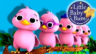 Five Little Birds | Nursery Rhymes | Original Song based on "5 Little Ducks" by LittleBabyBum!