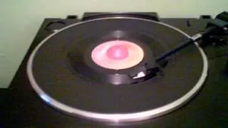 THE PSYCHEDELIC FURS - The Ghost In You - 45 RPM