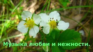 Нежность. Музыка любви и нежности. Tenderness. Music of love and tenderness.