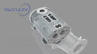 Analysis of the working principle of Dry screw vacuum pump - Vacculex