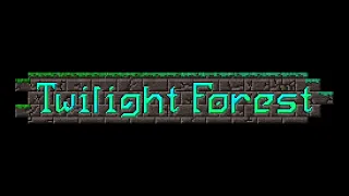 Steps - Twilight Forest (8 mins extended)