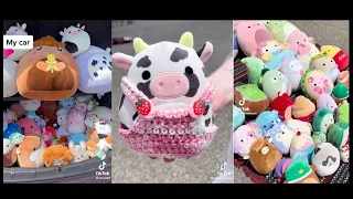 Squishmallow meet-up videos that made me think my squishmallows could ✨talk✨
