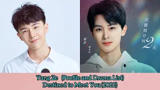 Yang Ze 杨泽 (Profile and Drama List 2022-2018) Destined to Meet You (2022)