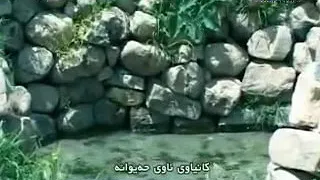 مظهری خالقی