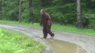 ШОК!!!СНЯТ BIGFOOT!!!!!НЕОБЪЯСНИМОЕ(мини разоблачение)