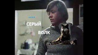 Я тебе пригожусь. Серый волк. ВИА Голубые Гитары.