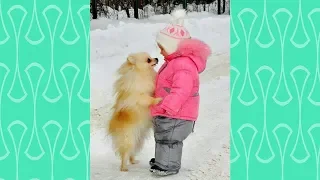 Pomeranian puppy and Baby attracting each other -  Cutest Puppies and babies Videos