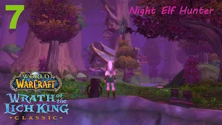 Let's play World of Warcraft WotLK classic - Night Elf Hunter - Part 7