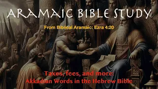 Akkadian TAXES in the Book of Ezra - Aramaic Bible Study Ezra 4:20