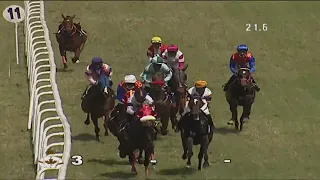 SUPER SEXY wins The Paddock Plate Div-2