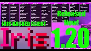 FIRST MINECRAFT BEDROCK HACKED CLIENT UPDATED TO 1.20 - Iris Hacked Client 1.20 & 1.20.10