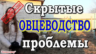 Овцы рома/Первые недостатки овцеводства