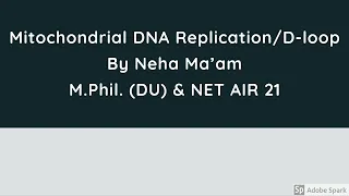 Mitochondrial DNA replication/D-loop (Displacement loop)