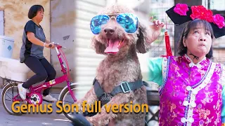 Genius Son full version：First time seeing a dog that can drive!#GuiGe #hindi #funny #chinese comedy
