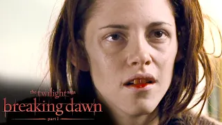 'Bella's First Taste of Blood' Scene | The Twilight Saga: Breaking Dawn - Part 1