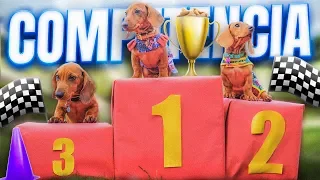 PUPPIES COMPETITION | THE POLYNESIANS VLOGS