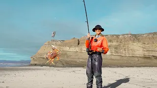 2024 Dungeness Crab Snaring on a Secret Beach in California: Keepers Almost Every Pull!