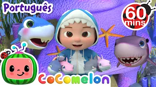 Bebê tubarão | 1 HORA DE COCOMELON | Moonbug Kids | Músicas Infantis em Português