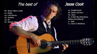 The best of Jesse Cook ( Best hits ).