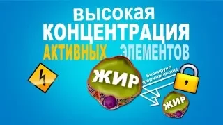 Как избавиться от целлюлита за считанные дни