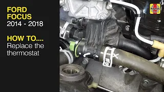 How to Replace the thermostat on the Ford Focus 2014 to 2018