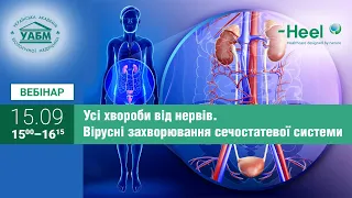 Усі хвороби від нервів  Вірусні захворювання сечостатевої системи  ТМ Heel