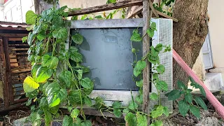 Restoration TV SONY Old broken | Restore Abandoned Color TV | Antique television