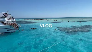 VLOG: Sharm el sheikh, White island, Novotel, Snorkel, Ras Mohammed