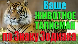 Ваше животное-талисман по Знаку Зодиака