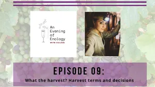 Evening of Enology Episode 09: What the harvest?