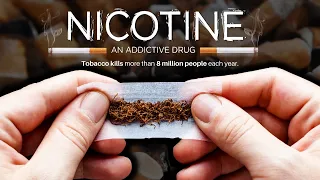 Nicotine: An Addictive Drug - The Truth About Tobacco Companies & Nicotine | Documentary Clip