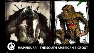 Mapinguari, the Giant Sloth Monster - Cryptid Profile