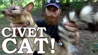 Catch and Cook RING-TAILED CAT & Cactus Nopals! Ep03 | 100% WILD Food SURVIVAL Challenge!