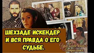 Шехзаде Искендер и вся правда о его судьбе. Империя Кесем (Интриганка)