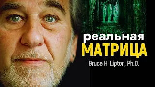 Dr. Bruce Lipton Explains: Everything Is Energy | The Biology of Belief