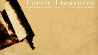 Torah Treasures - Parasha Vaera