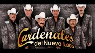 Cardenales de Nuevo Leon - Y como es el "Letra"