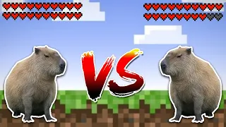 Capybara vs Capybara! Meme battle