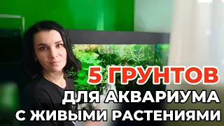 Грунты для аквариума травника. Какие использовать можно, а какие нельзя