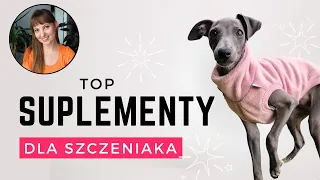 Suplementacja szczeniąt: Co każdy opiekun powinien wiedzieć | Kiedy i jak wprowadzać suplementy?