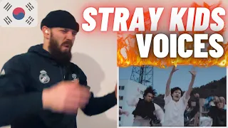 TeddyGrey Reacts To “Stray Kids - Voices Performance Video” | HYPE UK 🇬🇧 REACTION