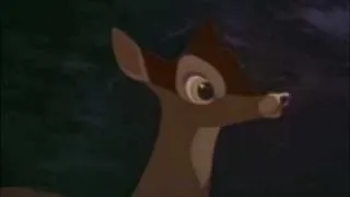 Bambi - Let Go