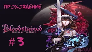 Bloodstained: Ritual of the Night ➤ #3 ➤ Витраж