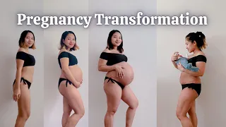 PREGNANCY TRANSFORMATION | week by week belly growth