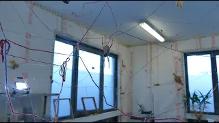 Ein Tag im Spider Silk Laboratory der MHH