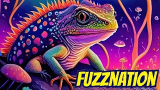 Fuzznation - Fuzz & Stoner Rock Music (2023) [Compilation]