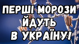 НЕ МОЖЕ БУТИ! На вихідних в Україні можливі перші заморозки, - синоптик