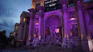 Mr. Bushman prank in Las Vegas - 4K UHD