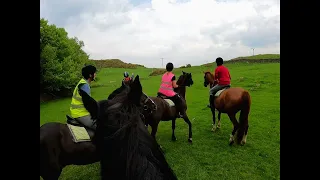 Sun's out Ground’s good, Happy days #lakedistrictnationalpark #horseriding #horses #stables