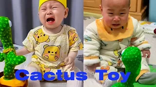 Babies play dancing cactus toy. Cute baby funny videos.